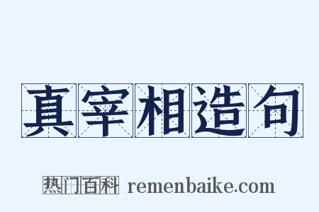 真宰相造句是什么意思的图片